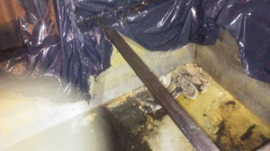 Taqueria El Triunfo | restaurant | 1840 S Standard Ave # 107, Santa Ana, CA 92707, USA | 7148361990 OR +1 714-836-1990