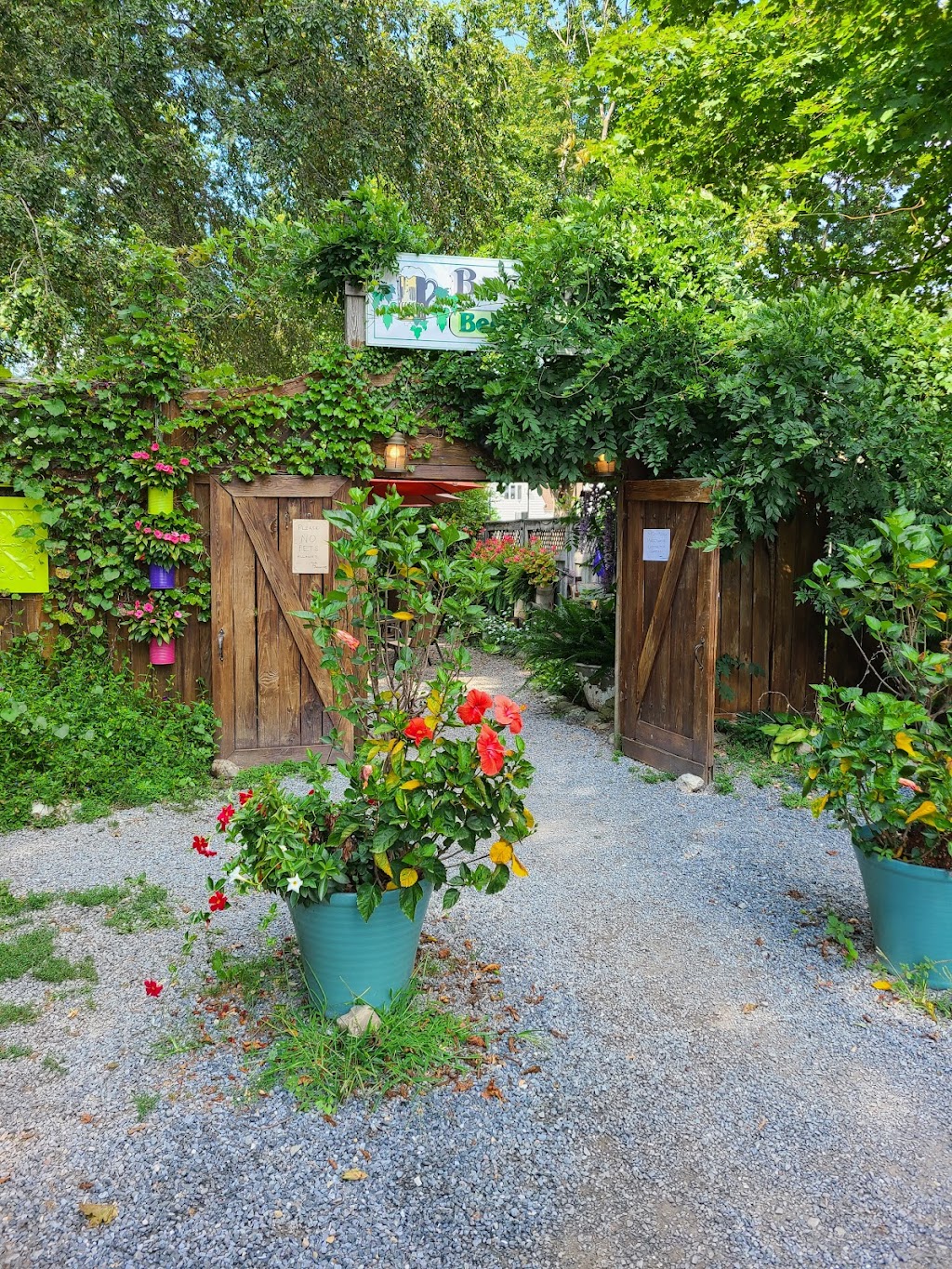 Back Bar Beer Garden & The Cabin | restaurant | 2947 Church St, Pine Plains, NY 12567, USA | 5183987801 OR +1 518-398-7801