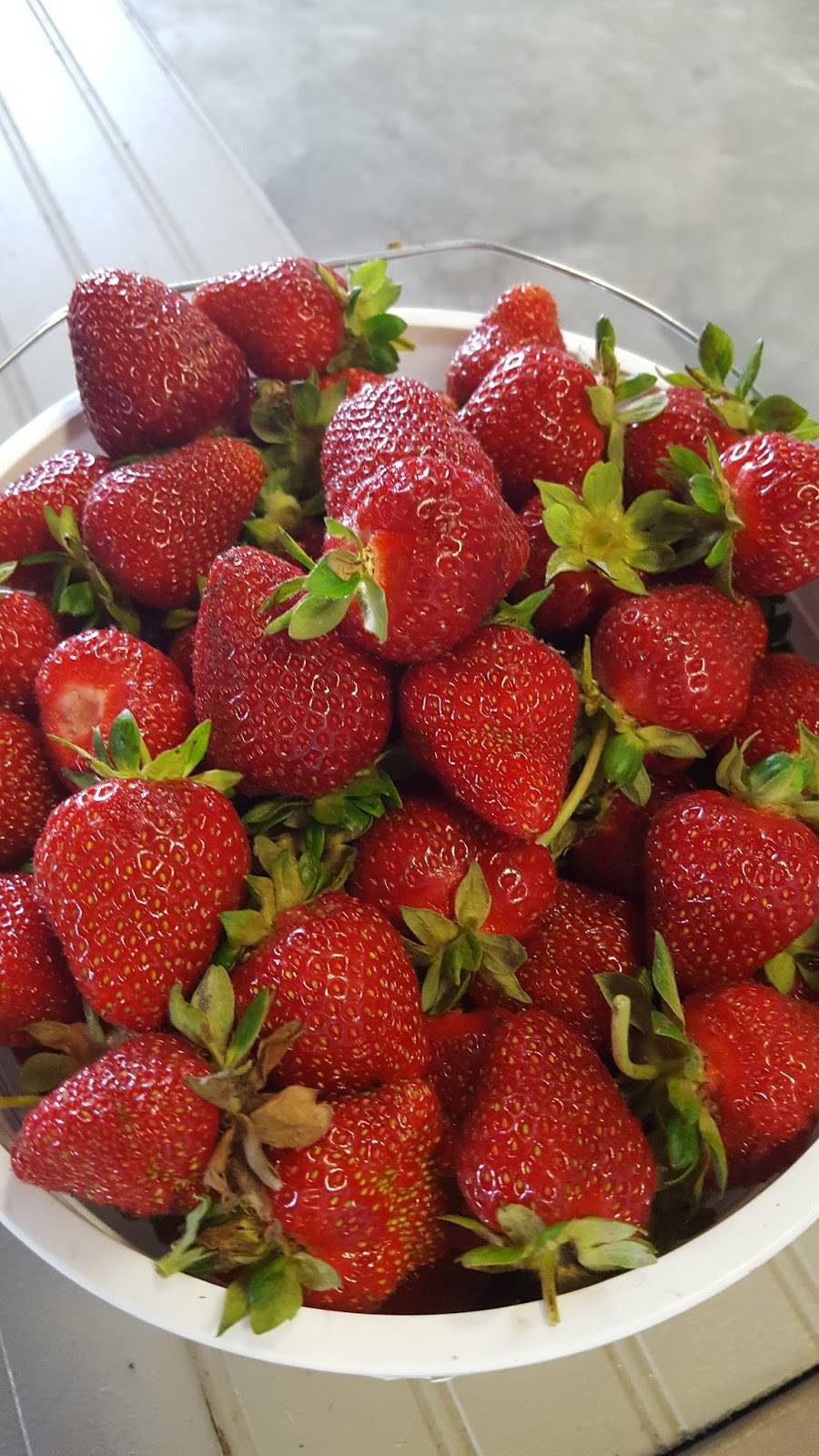 Dutch Valley Restaurant | bakery | 1343 Old Rte 39 NE, Sugarcreek, OH 44681, USA | 3308524627 OR +1 330-852-4627