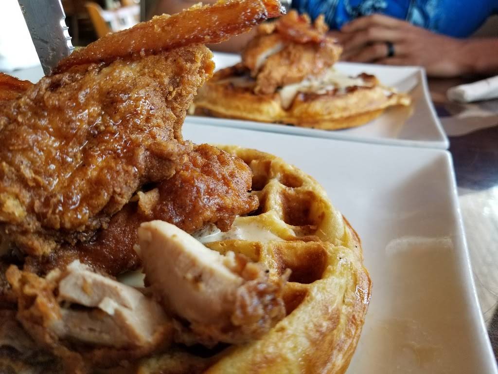 Hair Of The Dog Eatery, Norfolk | restaurant | 4820 Hampton Blvd, Norfolk, VA 23508, USA | 7573218483 OR +1 757-321-8483