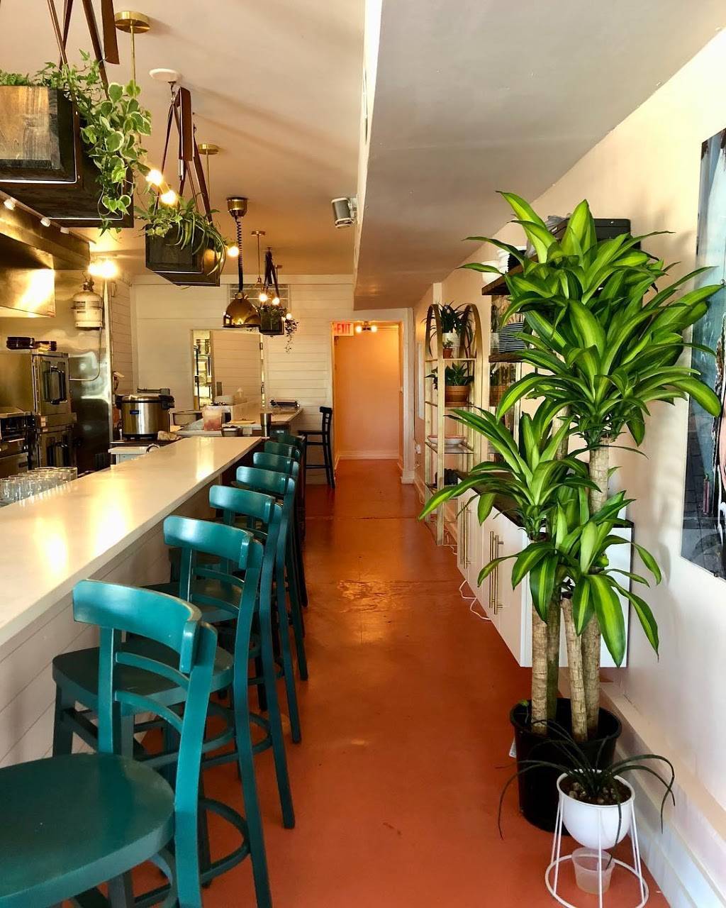 Semilla | restaurant | 218 President St, Charleston, SC 29403, USA | 8437183175 OR +1 843-718-3175