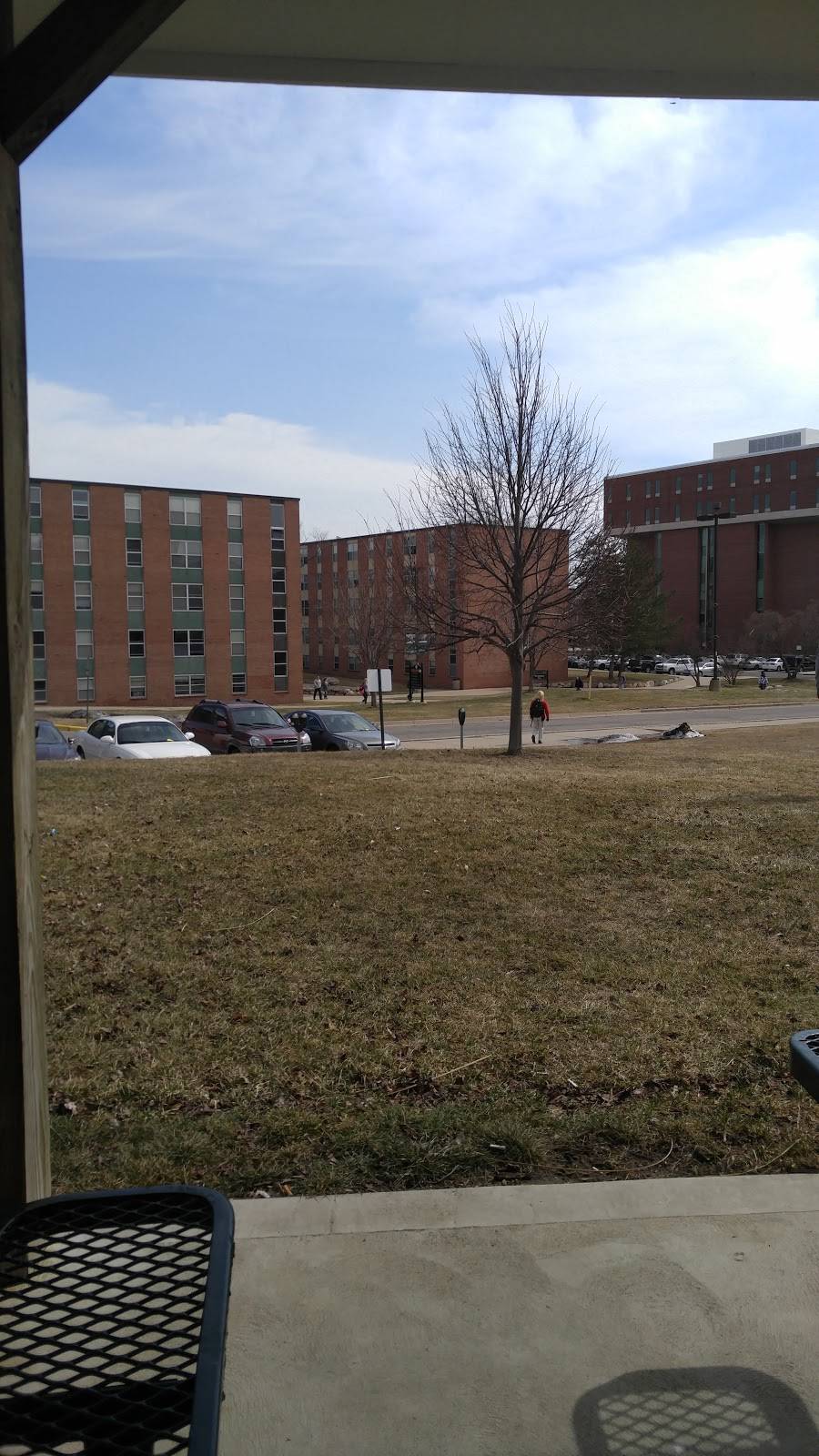 The Commons | restaurant | 529 St Johns St, Ypsilanti, MI 48197, USA | 7344872442 OR +1 734-487-2442