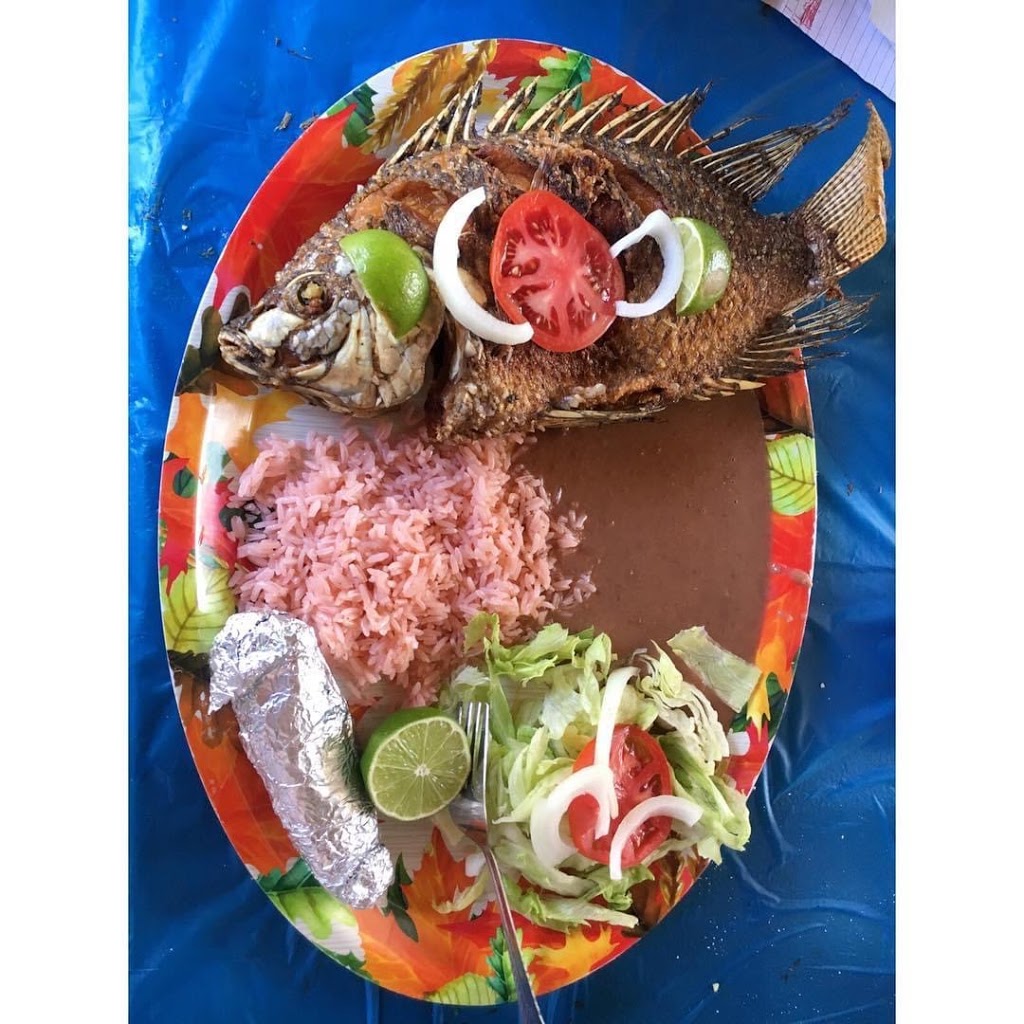 Marisquería Costa del Mar | restaurant | 906 S Garfield Ave, DeLand, FL 32724, USA | 3867859287 OR +1 386-785-9287