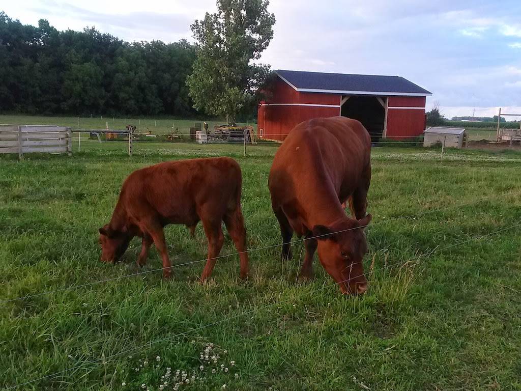 BP Farms, LLC | restaurant | 6300 N Rea Rd, Dundee, MI 48131, USA | 7344304261 OR +1 734-430-4261