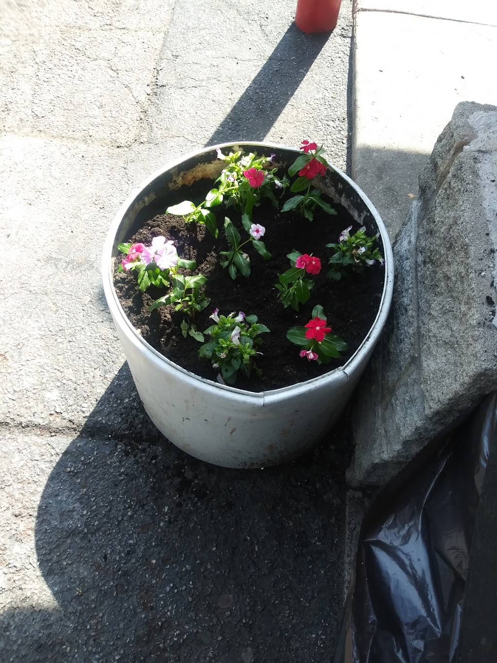 Dunkin Donuts | cafe | 2801 W Division St, Chicago, IL 60622, USA | 7733268536 OR +1 773-326-8536