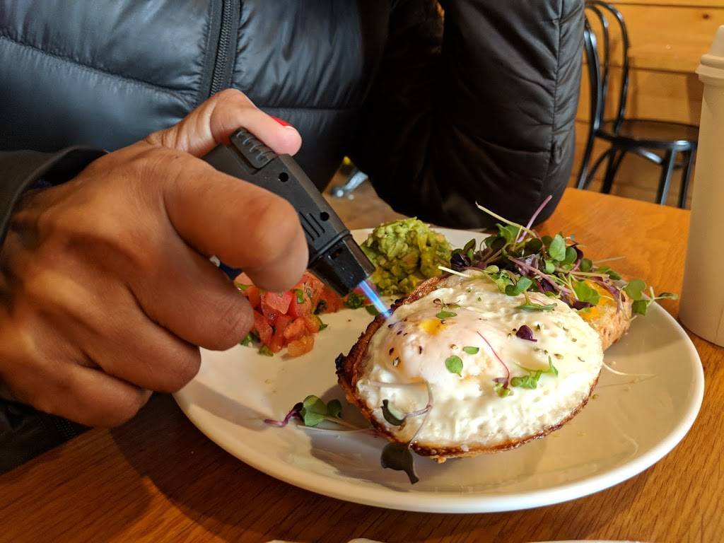 Fort Hamilton Diner | restaurant | 9502 4th Ave, Brooklyn, NY 11209, USA | 7182385151 OR +1 718-238-5151