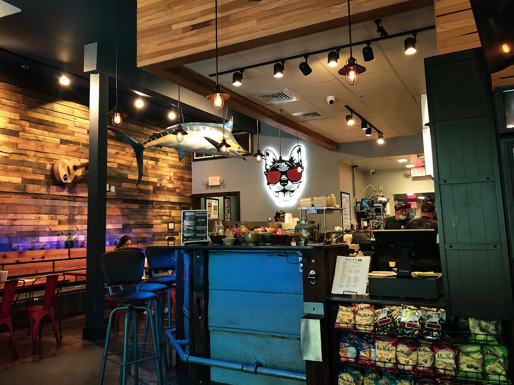 The Dog House | restaurant | 30 S Palafox St, Pensacola, FL 32502, USA | 8504323104 OR +1 850-432-3104