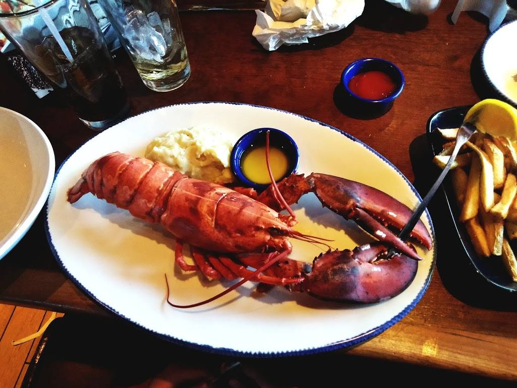 Red Lobster | restaurant | 3510 New Center Point, Colorado Springs, CO 80922, USA | 7195969057 OR +1 719-596-9057