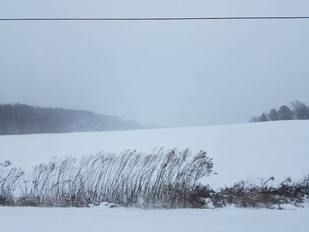 Little River Market & Deli | restaurant | 16335 Northumberland Hwy, Burgess, VA 22432, USA | 8044536076 OR +1 804-453-6076