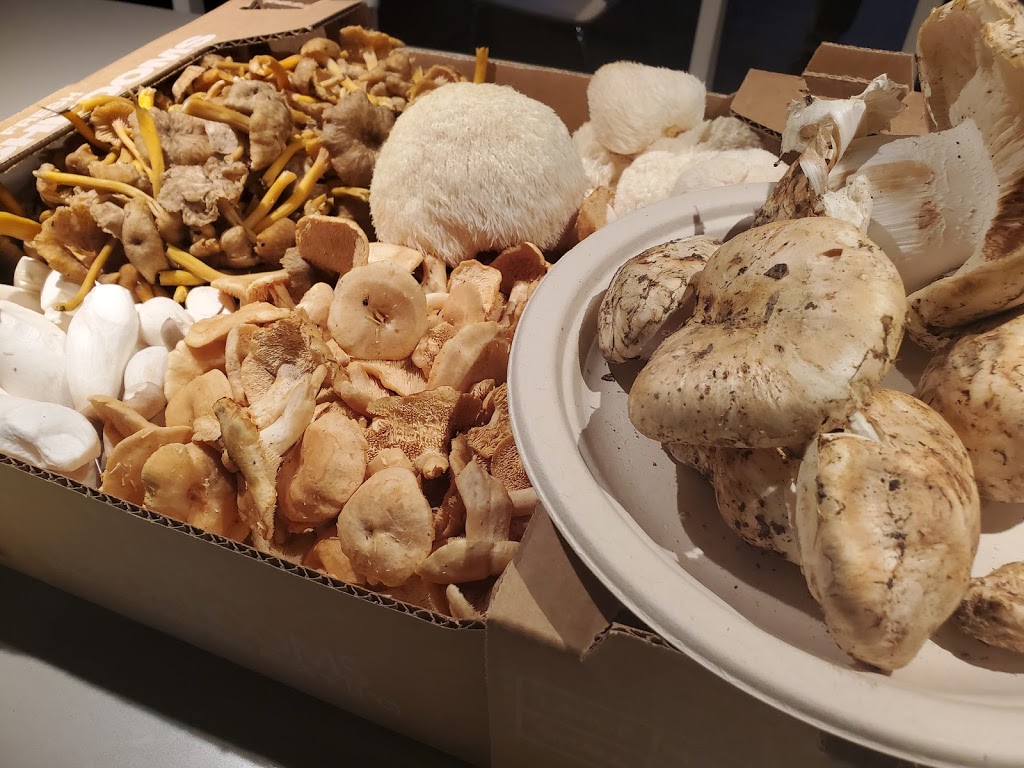 Restaurant Gish | restaurant | 1998 Homestead Rd #113, Santa Clara, CA 95050, USA | 6692305162 OR +1 669-230-5162