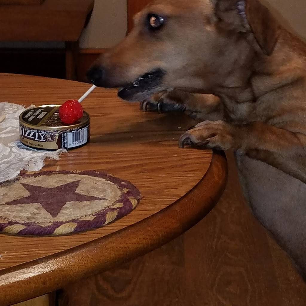 Buffalo Wild Wings | restaurant | 143 Fairway Dr, Wilmington, OH 45177, USA | 9372839464 OR +1 937-283-9464