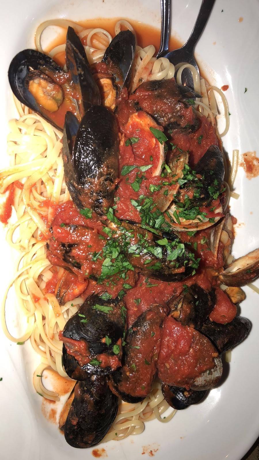 Nicolas Italian Restaurant And Catering | restaurant | 3620 U.S. 9, Cold Spring, NY 10516, USA | 8458095637 OR +1 845-809-5637