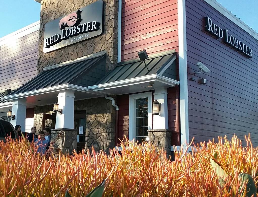 Red Lobster | restaurant | 4333 Candlewood St, Lakewood, CA 90712, USA | 5626343474 OR +1 562-634-3474