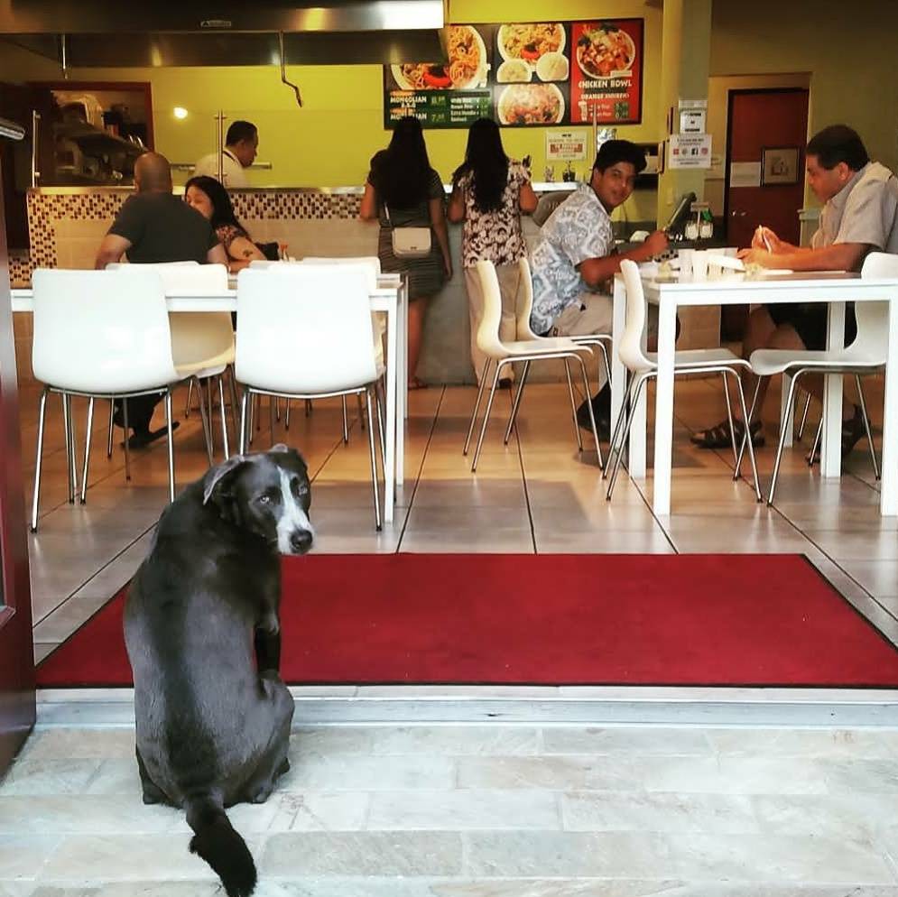 Bamboo Bistro | restaurant | 872 Eastlake Pkwy, Chula Vista, CA 91914, USA | 6193975990 OR +1 619-397-5990