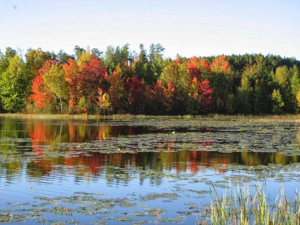 Edgewater Country Club | restaurant | N10369 Echo Valley Rd, Tomahawk, WI 54487, USA | 7154533320 OR +1 715-453-3320