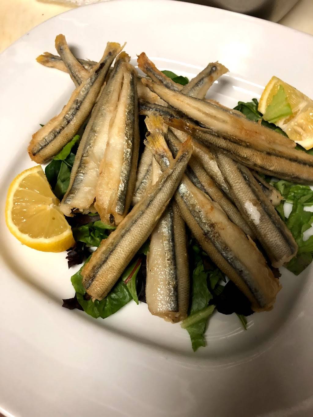 Cafe Amici Downtown | restaurant | 1371 Main St, Sarasota, FL 34236, USA | 9419516896 OR +1 941-951-6896