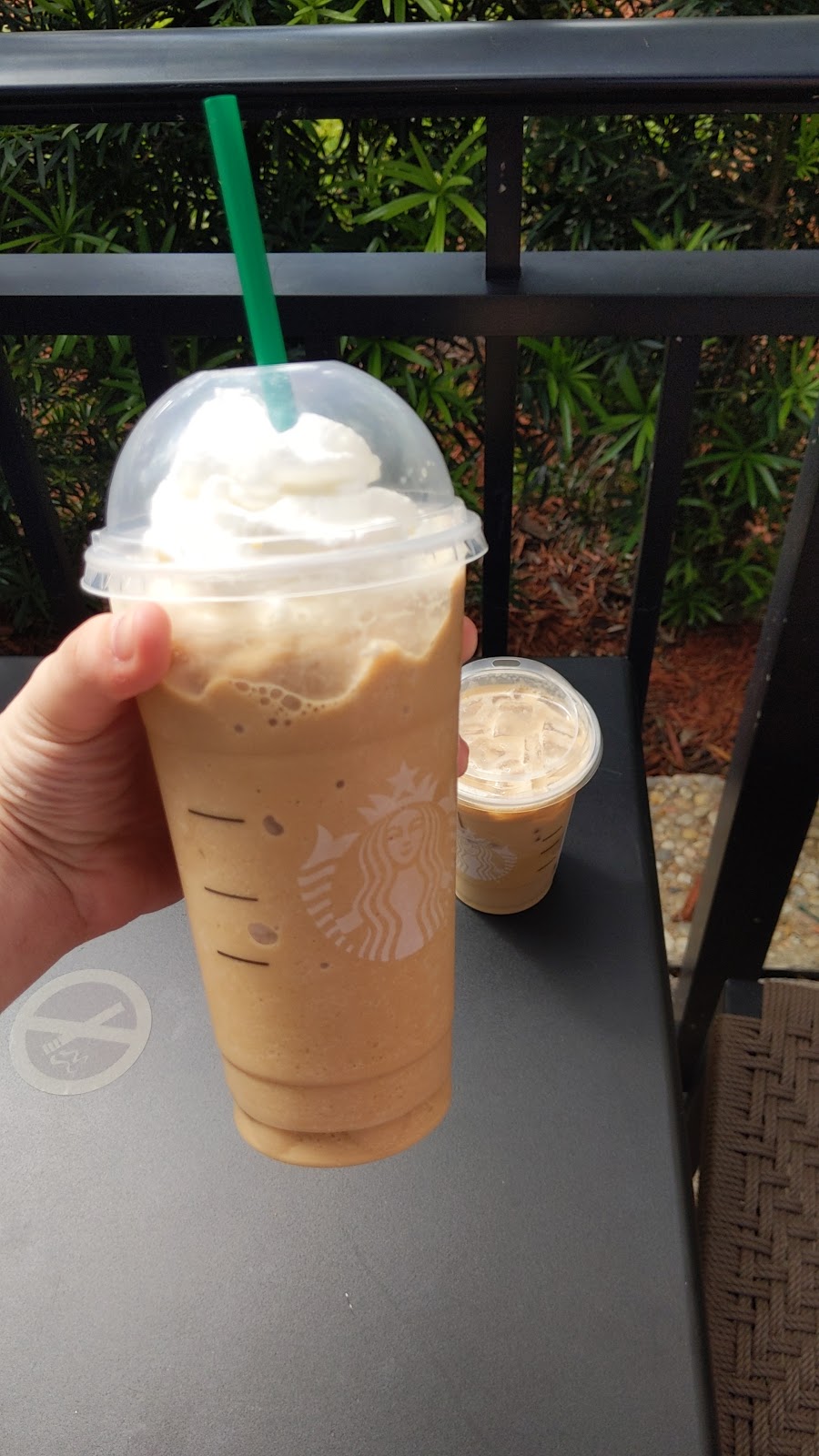 Starbucks | cafe | 12000 Biscayne Blvd, Miami, FL 33181, USA | 3058937941 OR +1 305-893-7941