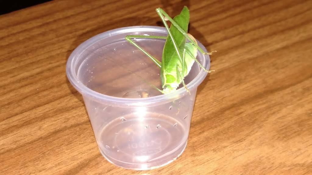 Wilderness Inn | restaurant | N13903 State Rd 80, Necedah, WI 54646, USA | 6085652277 OR +1 608-565-2277