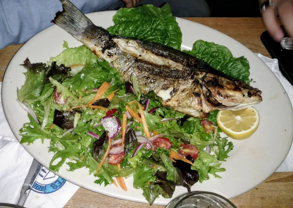 Efes Mediterranean Grill | restaurant | 32 Easton Ave, New Brunswick, NJ 08901, USA | 7322494100 OR +1 732-249-4100