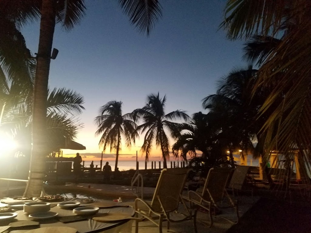 Pizzarello Miami | restaurant | 11735 SW 147th Ave #3, Miami, FL 33196, USA | 3053645566 OR +1 305-364-5566