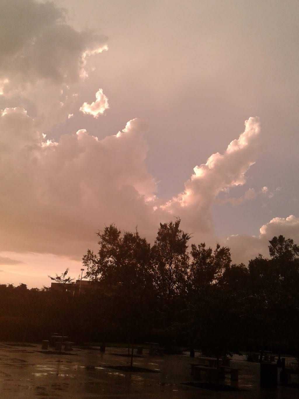 China Lee | restaurant | 11308 Beach Blvd, Jacksonville, FL 32246, USA | 9049981368 OR +1 904-998-1368