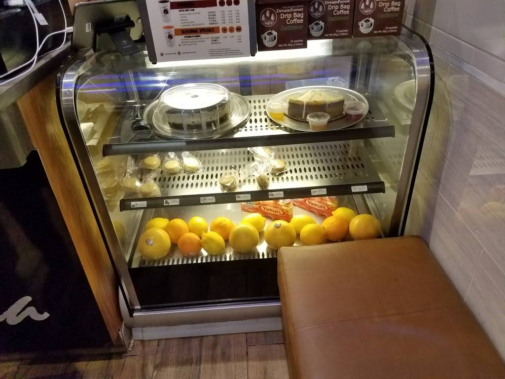 Kung Fu Tea | cafe | 237 Elm St, Somerville, MA 02144, USA | 6176165428 OR +1 617-616-5428