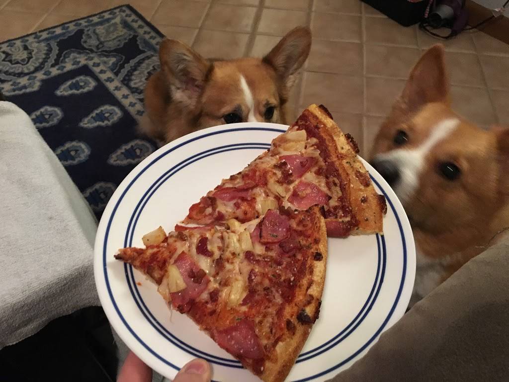 Pizza Hut | restaurant | 23118 FL-54, Lutz, FL 33549, USA | 8139490088 OR +1 813-949-0088