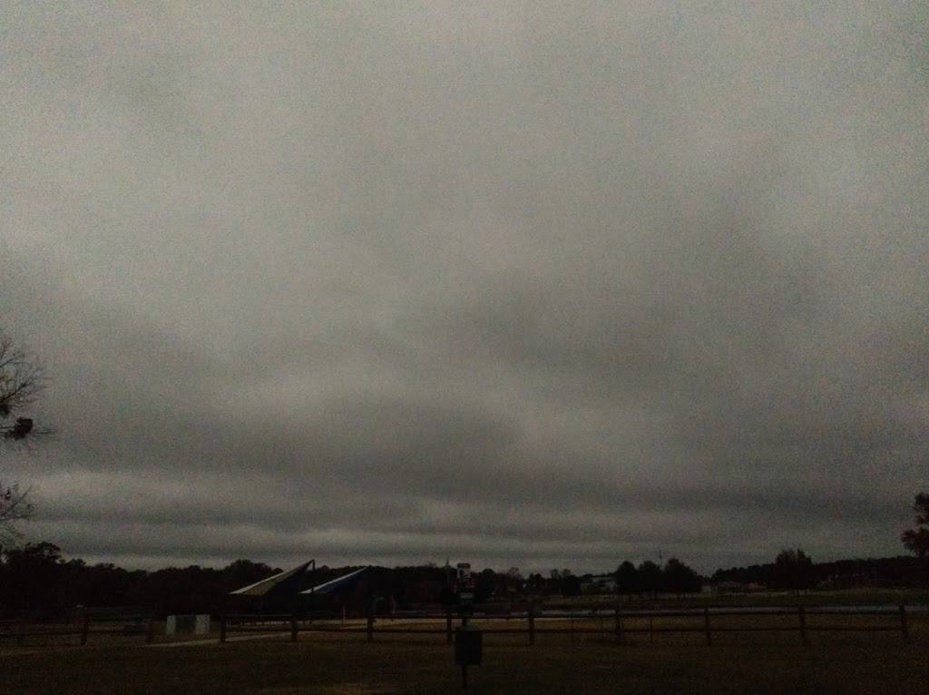 Checkers | restaurant | 509 S Gloster St, Tupelo, MS 38801, USA | 6622605071 OR +1 662-260-5071