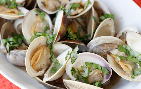 Brass Monkey Sports Bar & Grill | restaurant | 7781 Lake Worth Rd, Lake Worth, FL 33467, USA | 5619689559 OR +1 561-968-9559