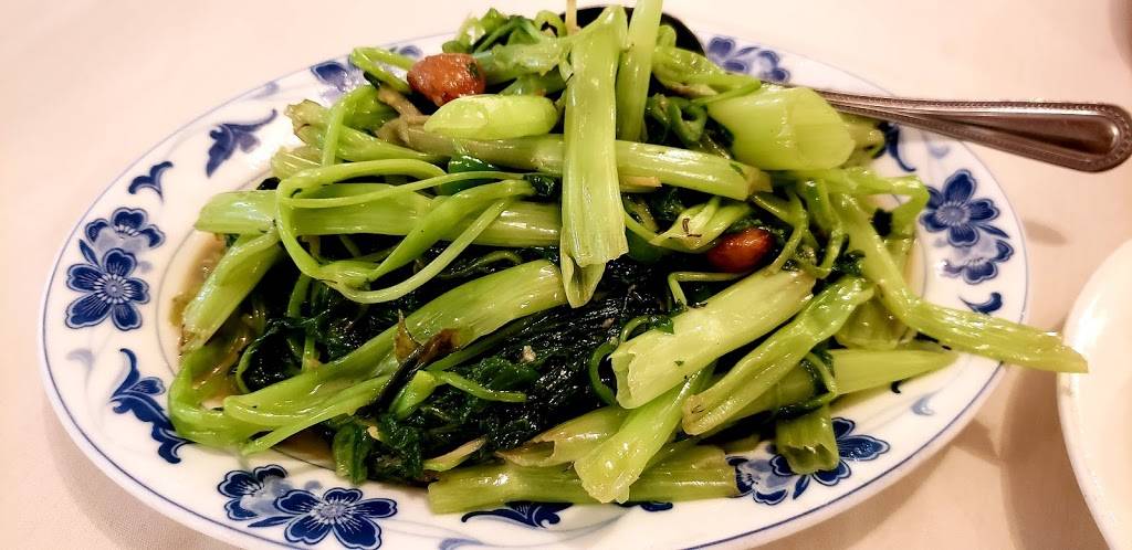 China Pearl | restaurant | 82-22 45th Ave, Elmhurst, NY 11373, USA | 7184783330 OR +1 718-478-3330