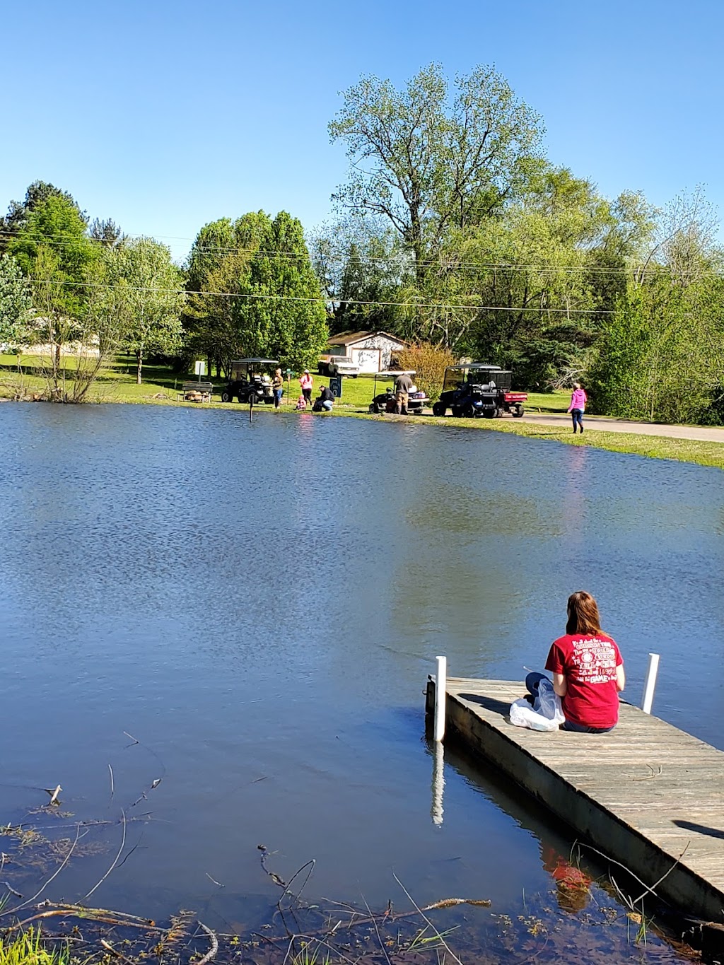 Sunset Bay Resort And Marina | restaurant | 60 Mansard Island Dr, Springville, TN 38256, USA | 7316425590 OR +1 731-642-5590