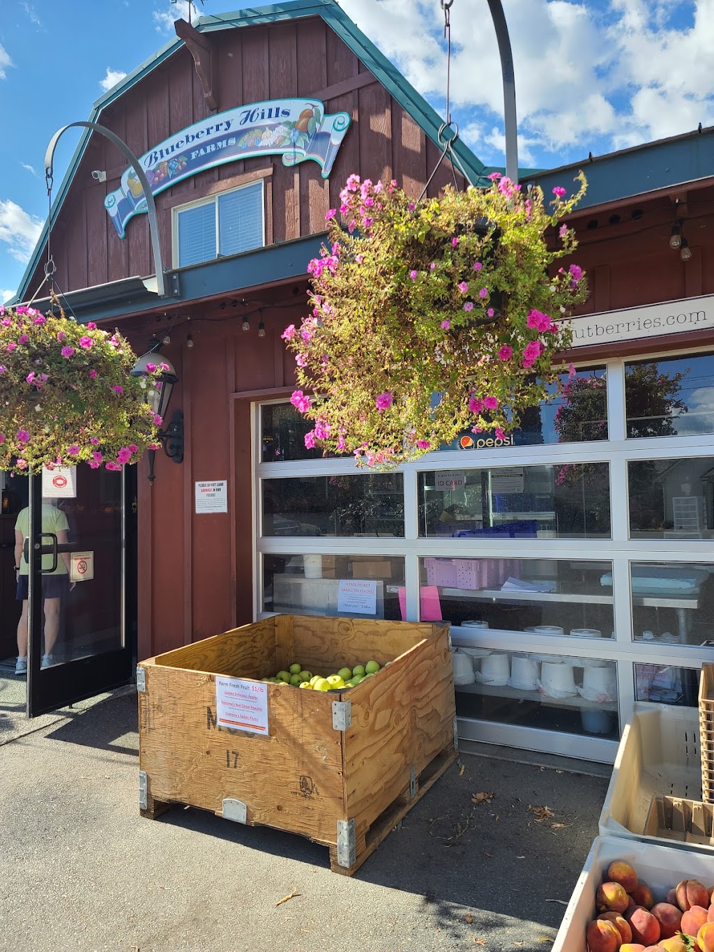 Blueberry Hills Farm | restaurant | 1315 Washington St, Manson, WA 98831, USA | 5096872379 OR +1 509-687-2379