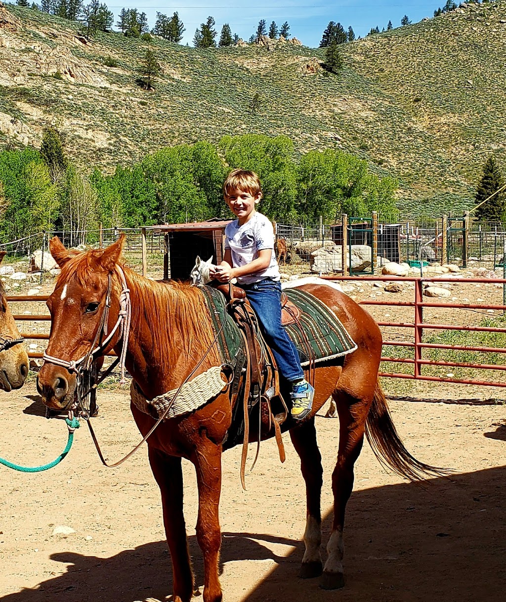 Harmels on the Taylor | cafe | 6748 County Rd 742, Almont, CO 81210, USA | 9706411740 OR +1 970-641-1740