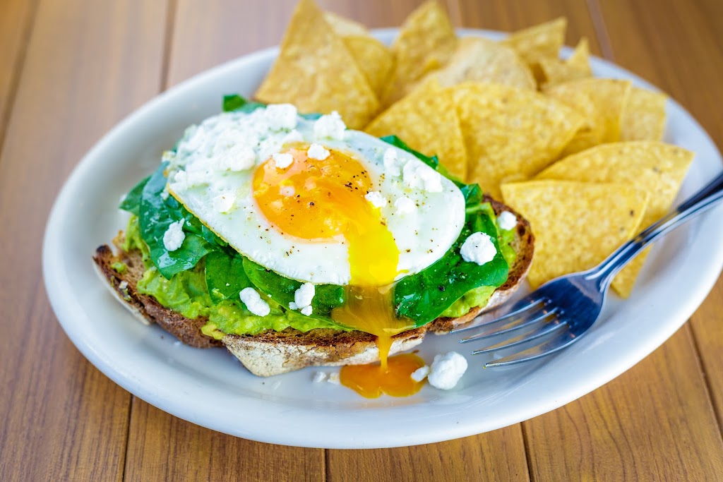 Active Culture | restaurant | 464 Ignacio Blvd, Novato, CA 94949, USA | 4154751128 OR +1 415-475-1128