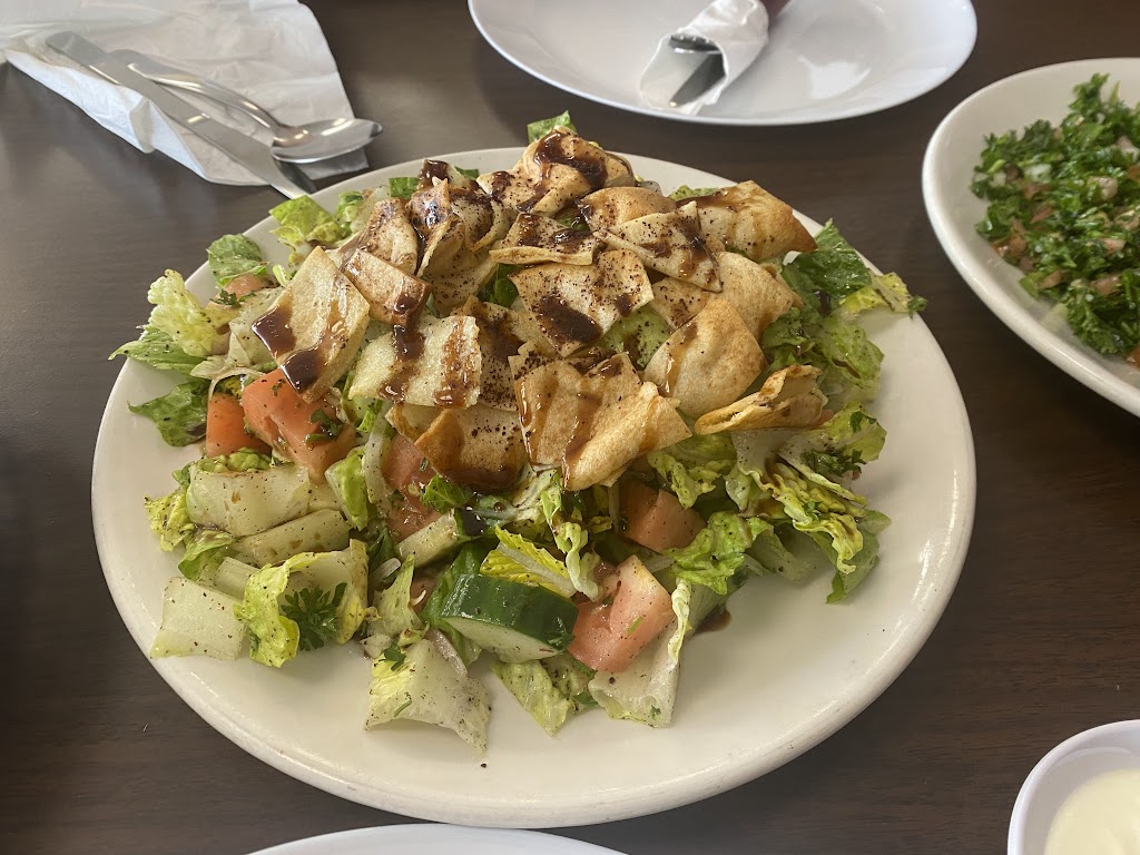 AL SHAMI | restaurant | 8600 Baymeadows Rd Suite 22-23, Jacksonville, FL 32256, USA | 9047399410 OR +1 904-739-9410