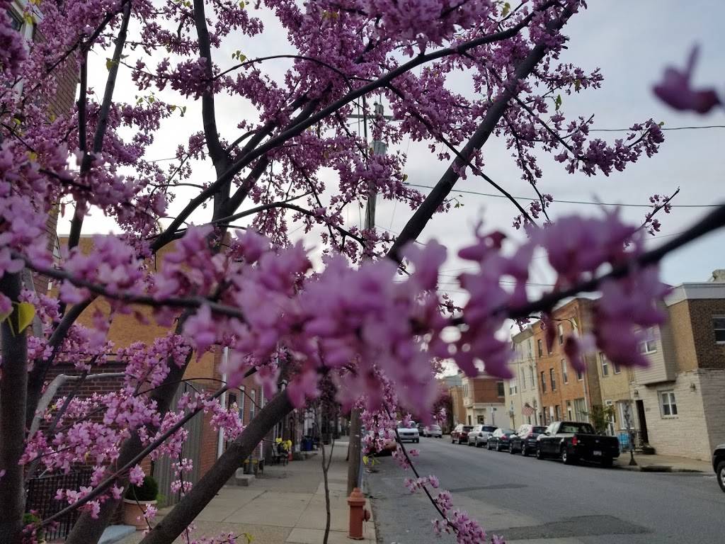 Kittys Luncheonette | restaurant | 2721 E Somerset St, Philadelphia, PA 19134, USA | 2154237023 OR +1 215-423-7023