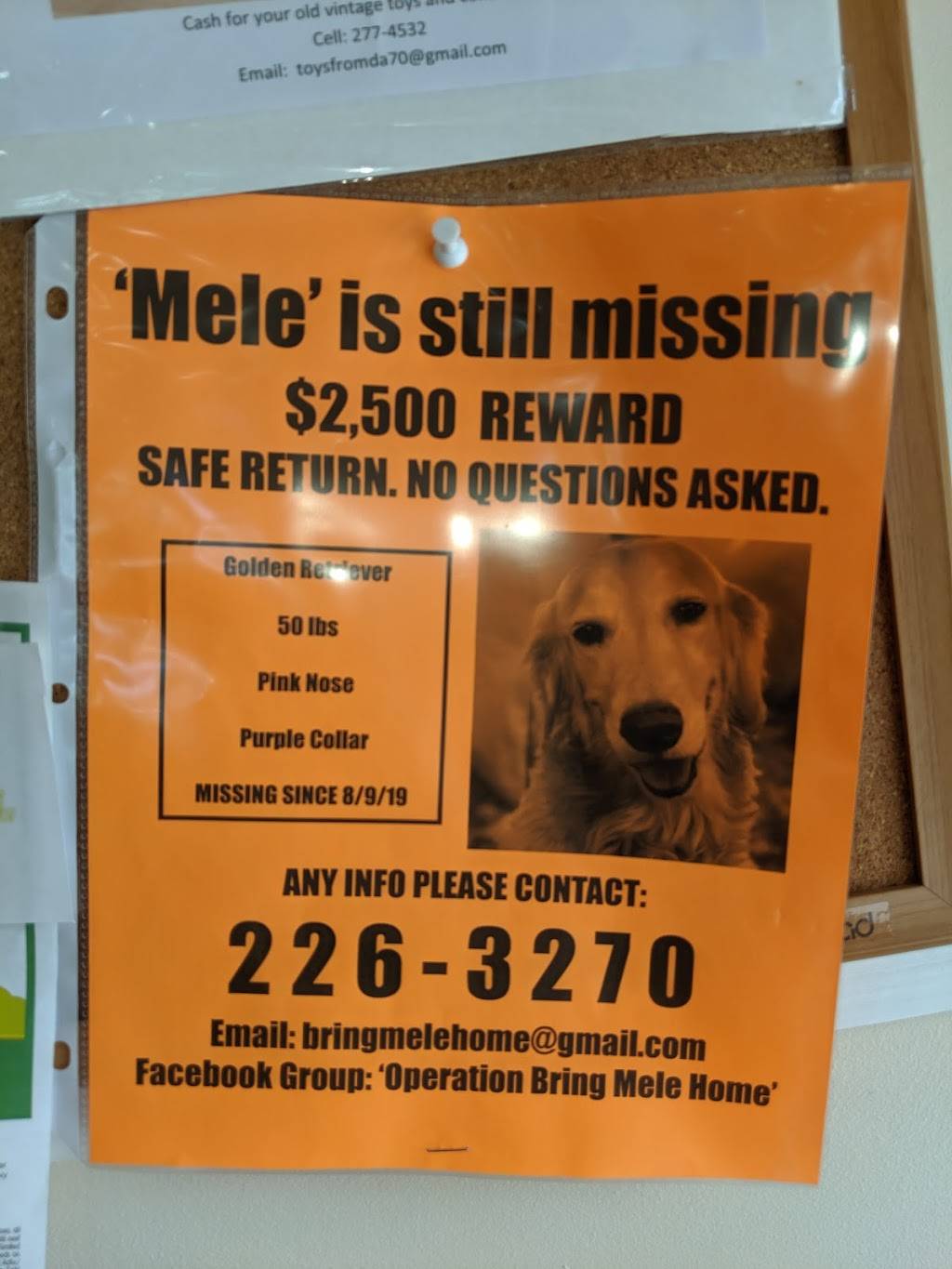 Flamingo Express | restaurant | 98-820 Moanalua Rd, Aiea, HI 96701, USA | 8083768388 OR +1 808-376-8388