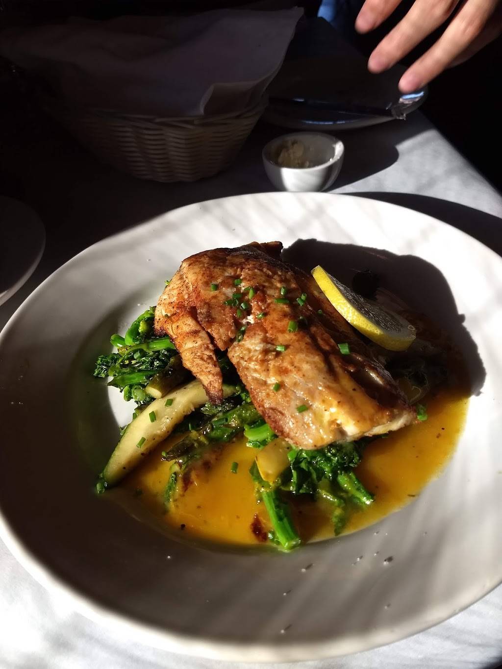 Cote Sud | restaurant | 7918 Maple St, New Orleans, LA 70118, USA | 5048669551 OR +1 504-866-9551