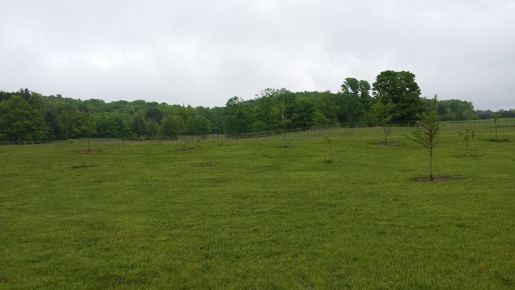 Mackinaw Trail Winery & Brewery - Petoskey | restaurant | 3423 US-131, Petoskey, MI 49770, USA | 2314871910 OR +1 231-487-1910