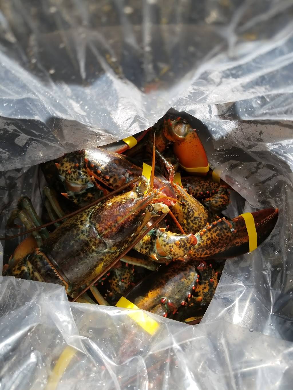 Allens Sea Food | restaurant | 119 Lookout Point Rd, Harpswell, ME 04079, USA | 2078332828 OR +1 207-833-2828