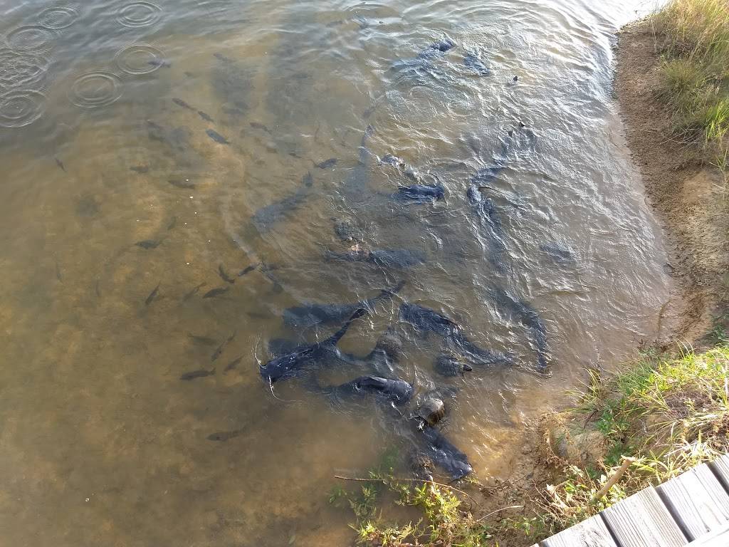 Catfish Charlie | restaurant | 11419 Canal Rd, Gulfport, MS 39503, USA | 2288329195 OR +1 228-832-9195