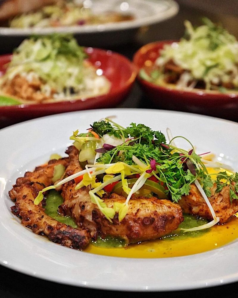 Mas Fuego | restaurant | 2960 Del Paso Rd, Sacramento, CA 95834, USA | 2793450951 OR +1 279-345-0951