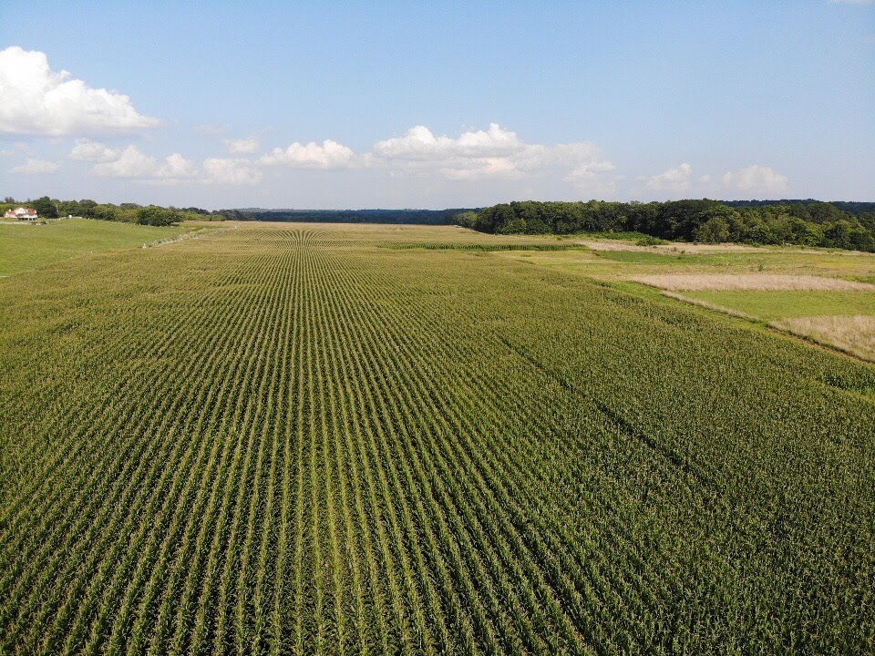 River Saint Joe | restaurant | 15475 Walton Rd, Buchanan, MI 49107, USA | 2694098015 OR +1 269-409-8015