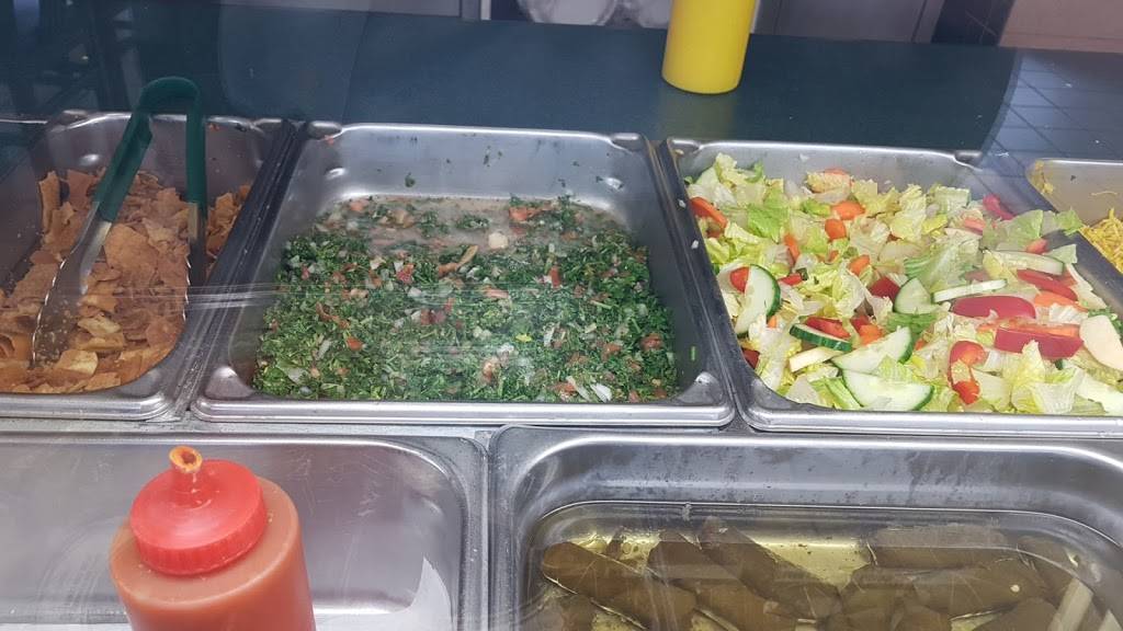 Shish Kabab House | restaurant | 1675 Carling Ave, Ottawa, ON K2A 1C4, Canada | 6137297770 OR +1 613-729-7770