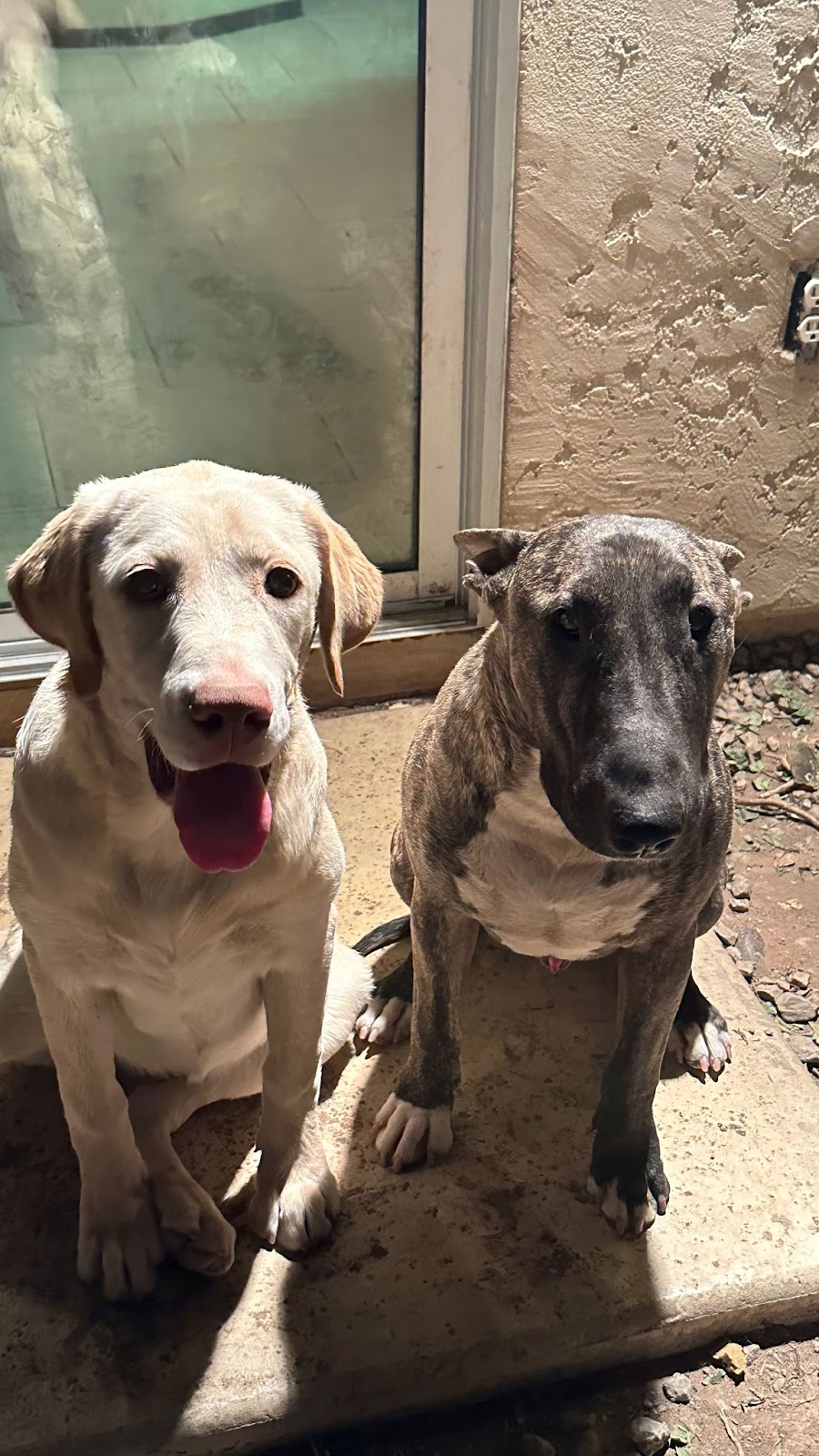 Son tacos | restaurant | 10116 W Williams St, Tolleson, AZ 85353, USA | 6024326196 OR +1 602-432-6196