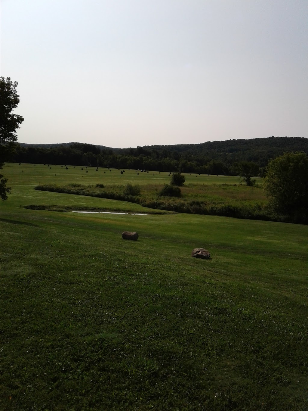 Beaver Creek Bar & Grill | restaurant | 7844 US-20, Sangerfield, NY 13455, USA | 3158413045 OR +1 315-841-3045