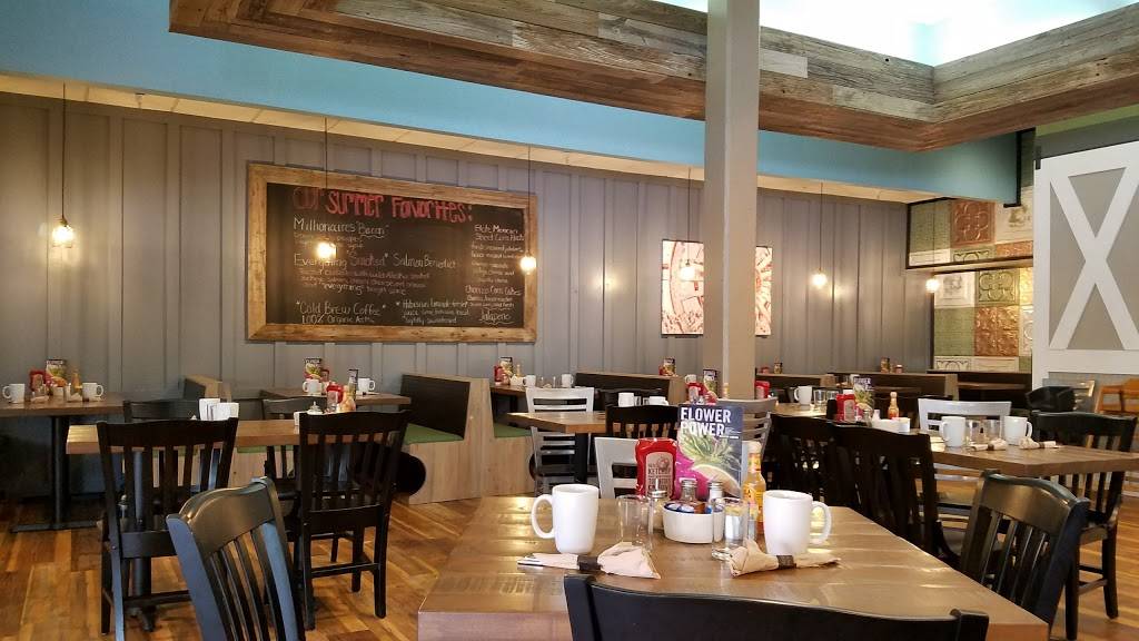 First Watch - Downtown Tampa | restaurant | 520 N Tampa St, Tampa, FL 33602, USA | 8133079006 OR +1 813-307-9006