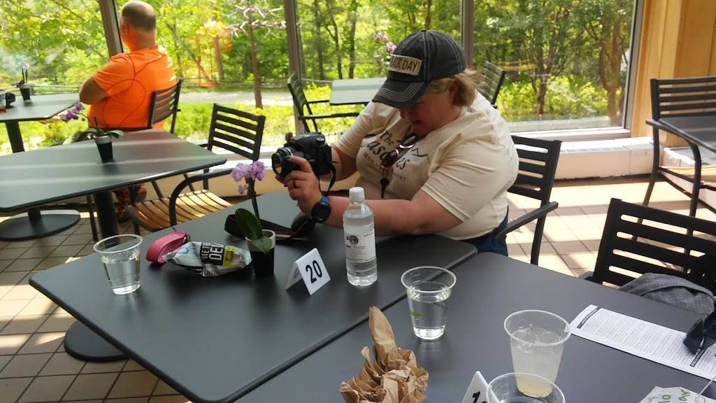 The Savory Way Café | cafe | 1550 Hendersonville Rd, Asheville, NC 28803, USA | 8283332334 OR +1 828-333-2334