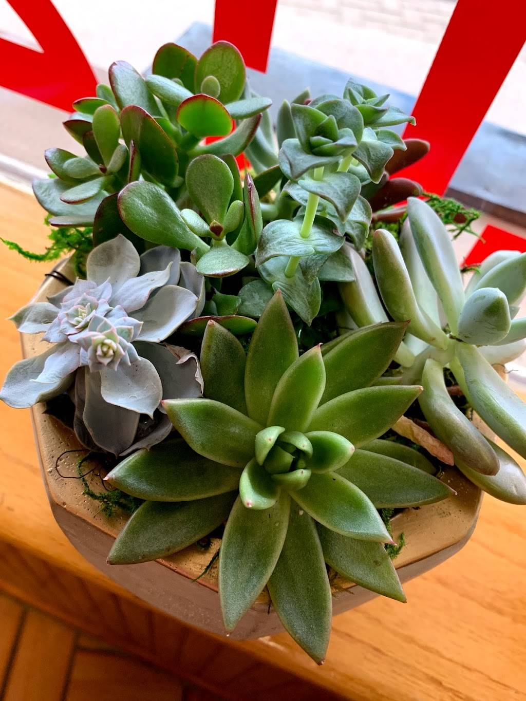 China 1 | restaurant | 113 E Prairie St, Vicksburg, MI 49097, USA | 2694755656 OR +1 269-475-5656