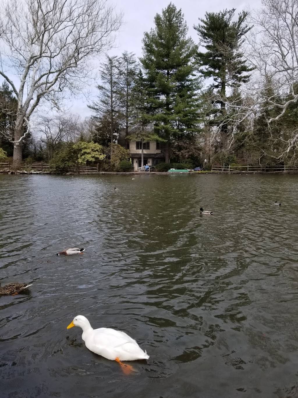 Starbucks | cafe | 1 N Main St, Yardley, PA 19067, USA | 2153218415 OR +1 215-321-8415